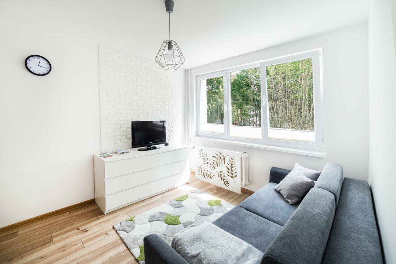 אולז'טין Apartament Smetka מראה חיצוני תמונה